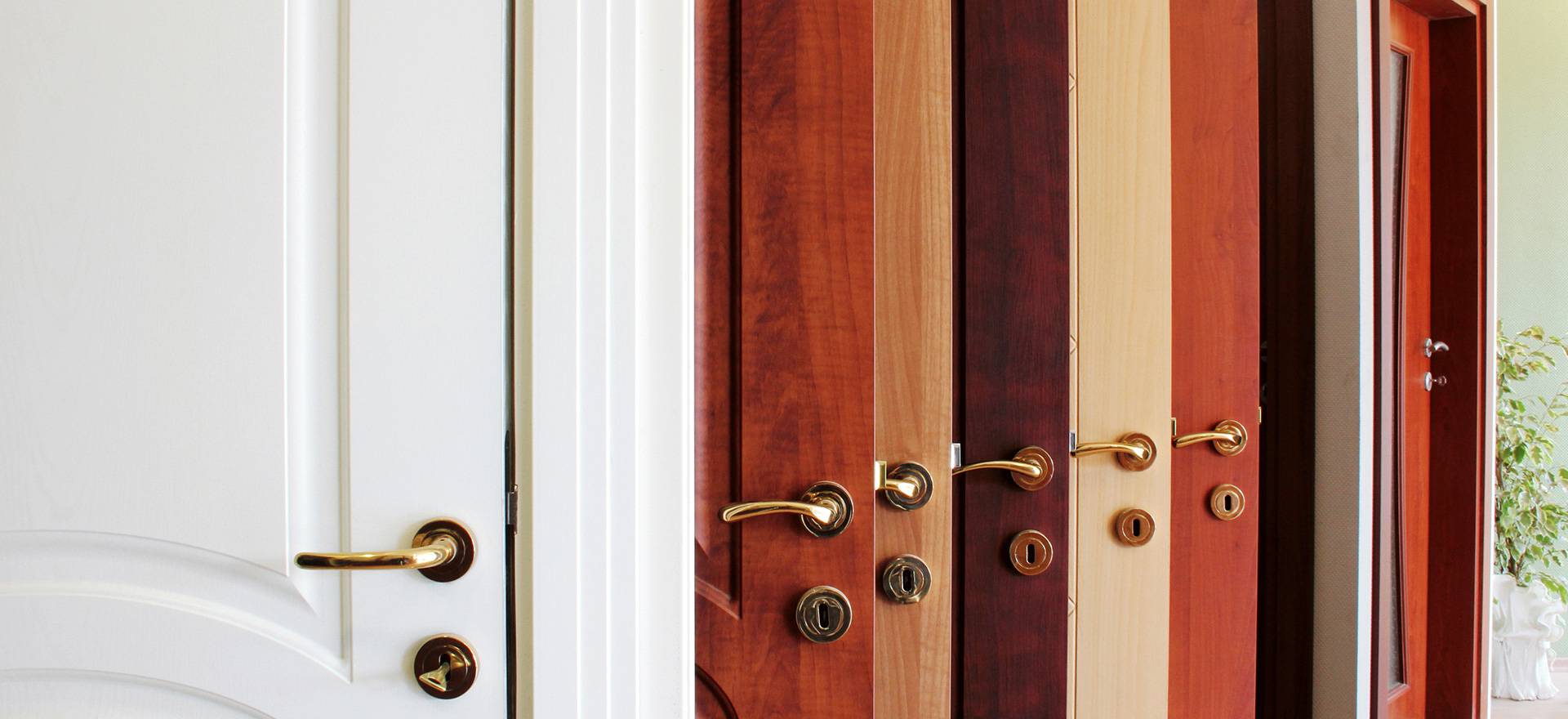 Wood doors with different colors